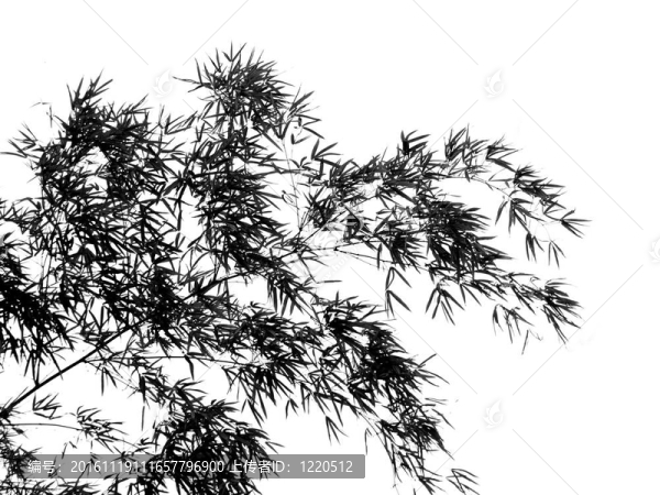 樹枝在微風(fēng)中搖曳
