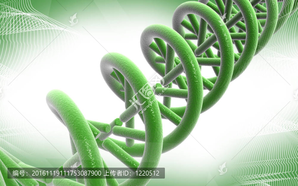 DNA