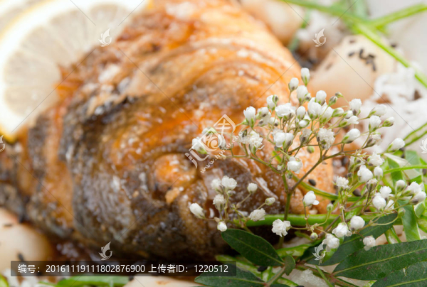 海豚魚(yú)劍魚(yú)