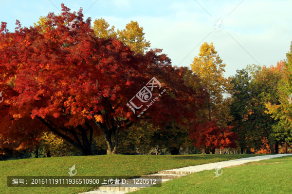 在公園里的一天