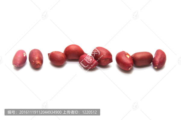 白色背景上的花生