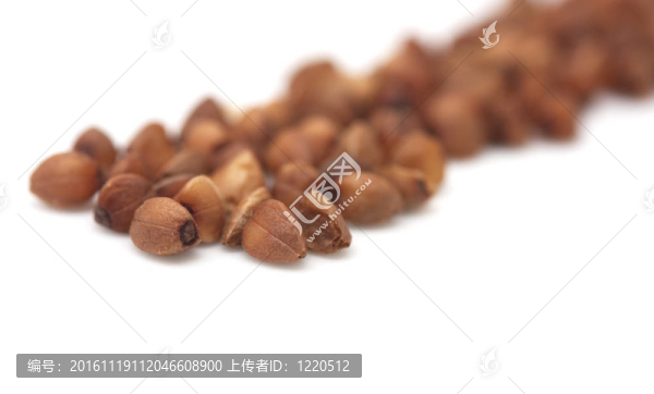白色背景上的蕎麥。關閉