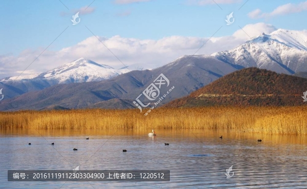 普雷斯帕湖3