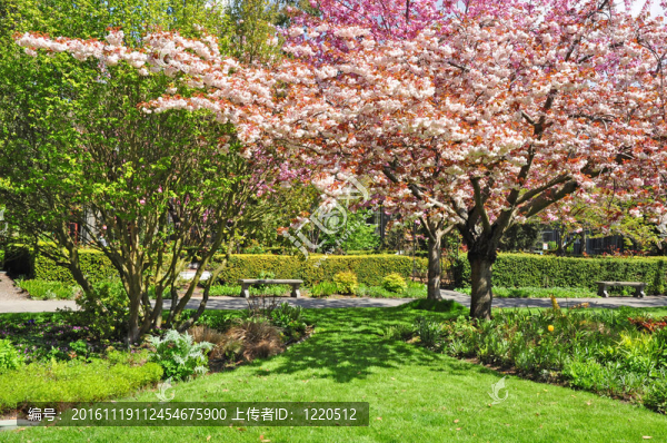 春天的公園