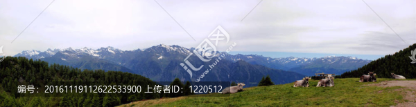 山全景與牛