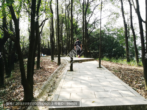 登山路