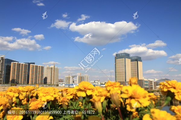 城市風光
