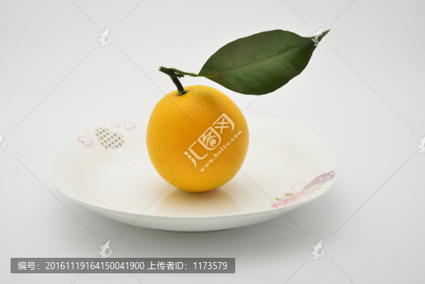江西臍橙
