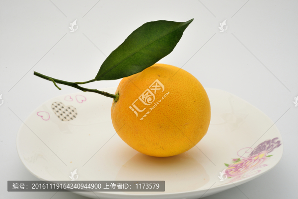 江西臍橙