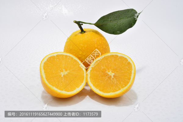 江西臍橙
