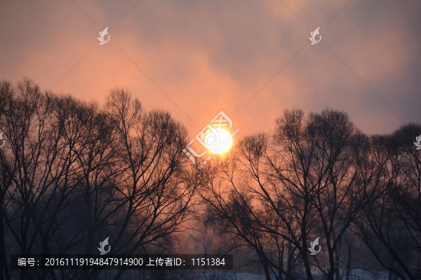 冬日