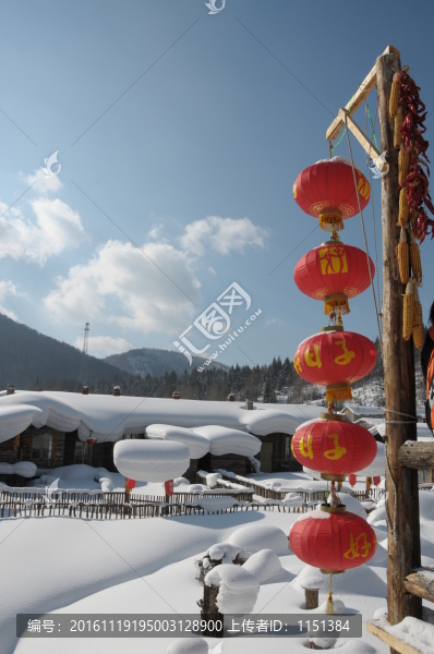 紅燈白雪
