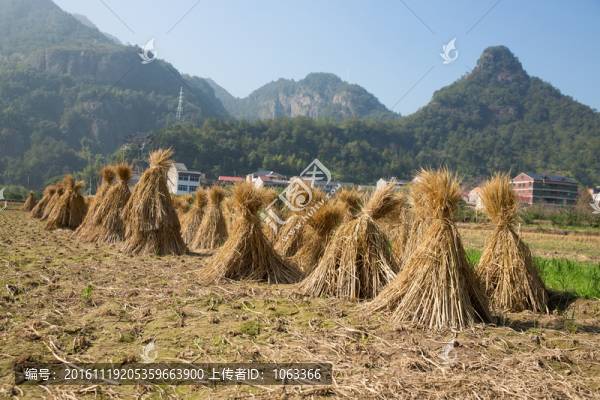 稻草堆