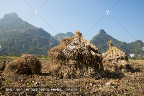 稻草堆