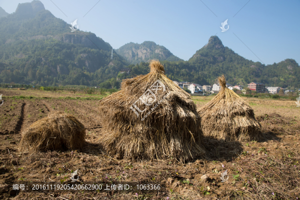 稻草堆