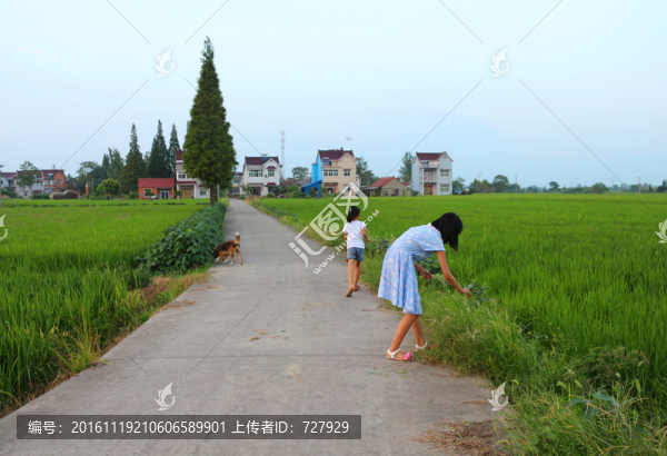 鄉(xiāng)村女孩