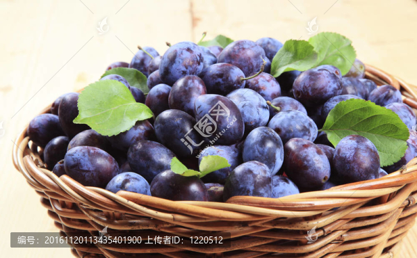 鮮李子籃