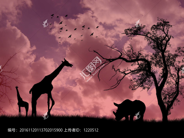 野生動物