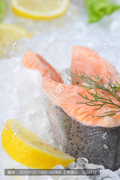 冰上的魚