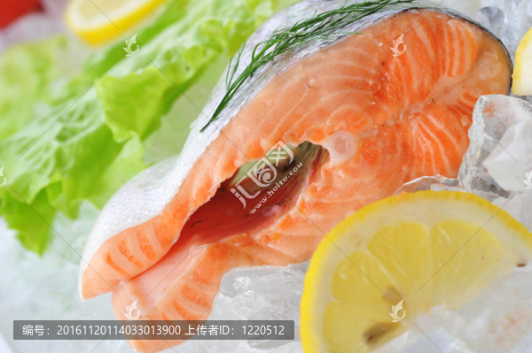 冰上的魚