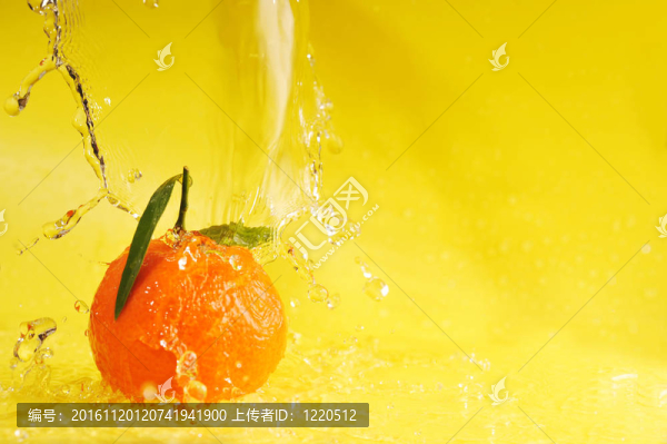 Tangerine夜店和水濺