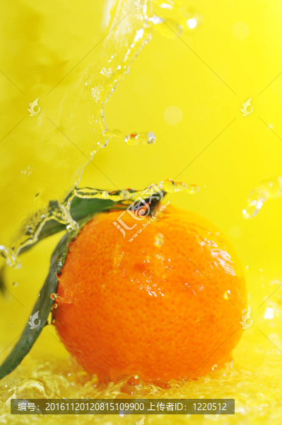 Tangerine夜店和水濺