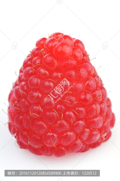 新鮮可口的rspberry特寫