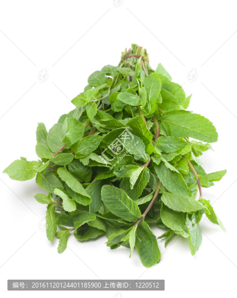 藥草