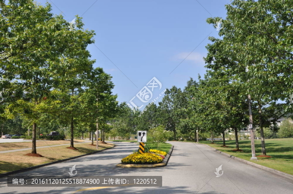 自然公園景色