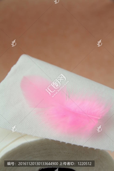 衛(wèi)生紙白卷