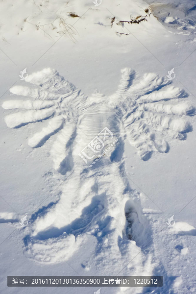 雪中的天使