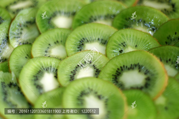 幾維鳥(niǎo)