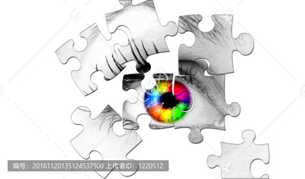 摘要人類的眼睛