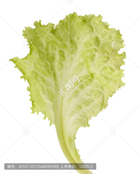 生菜沙拉