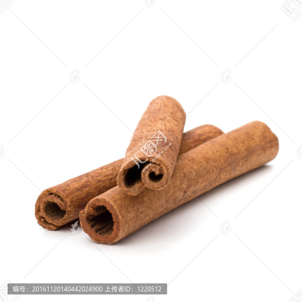 白色背景上的肉桂枝