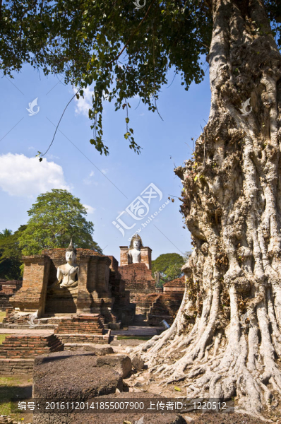 瑪哈泰寺