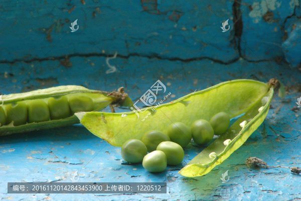 綠色的豌豆