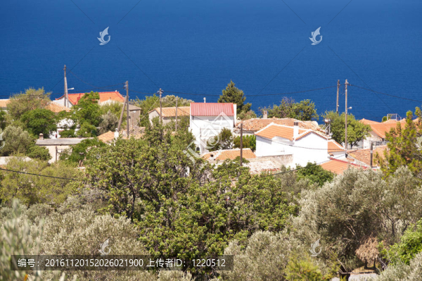 愛(ài)琴Samos