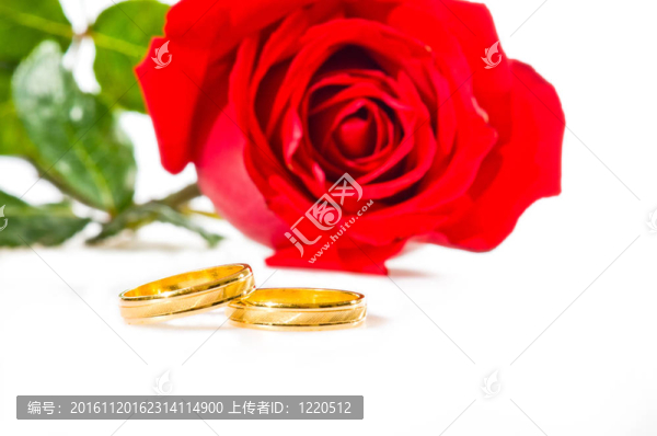 紅玫瑰和結(jié)婚戒指的白色