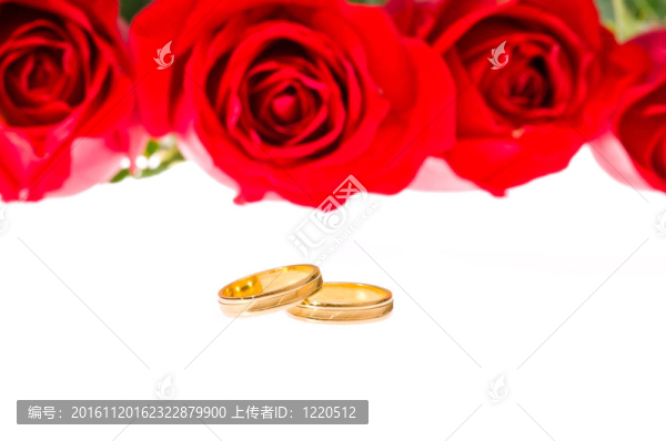 紅色的玫瑰和白色的結(jié)婚戒指