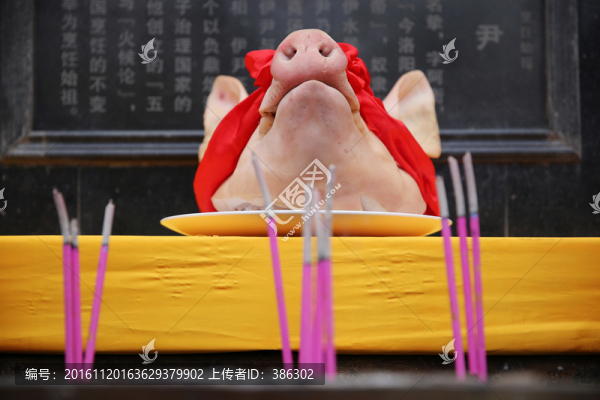 供奉發(fā)豬頭
