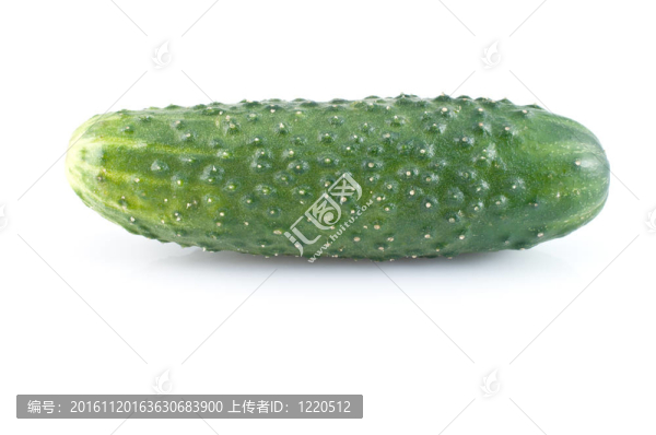 黃瓜