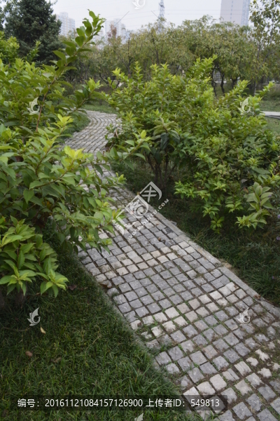 公園道路