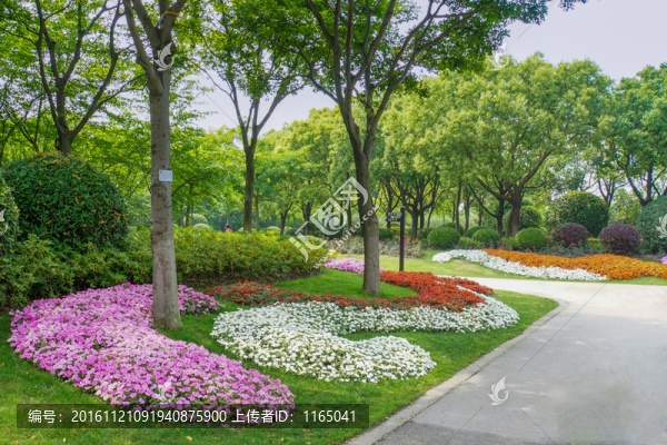 城市公園