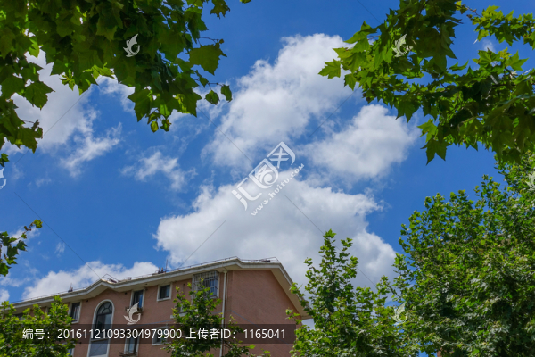小區(qū)環(huán)境,住宅小區(qū)
