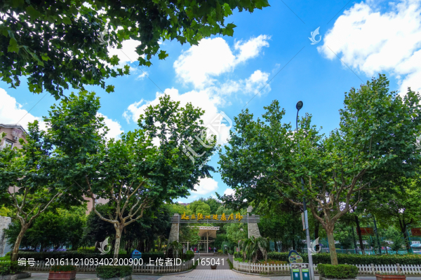 休閑廣場,街頭綠地