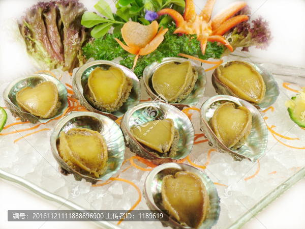 冰鎮(zhèn)鮑魚