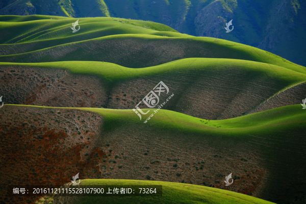 草原