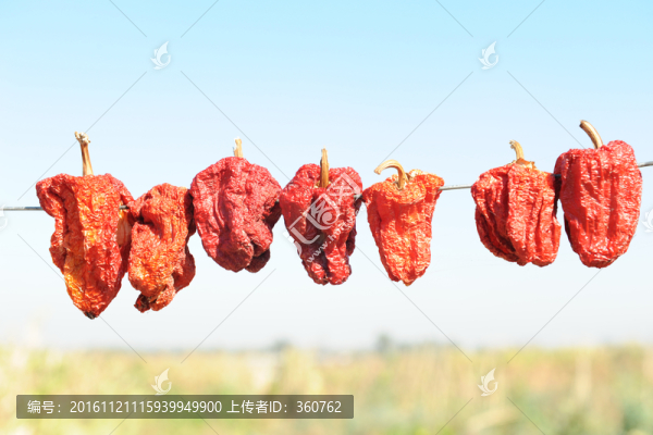 曬辣椒