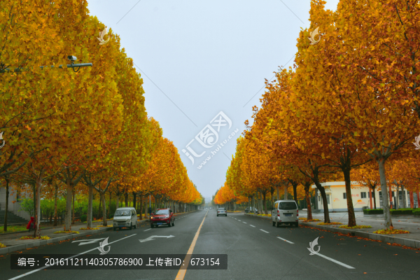 美麗鄉(xiāng)村公路